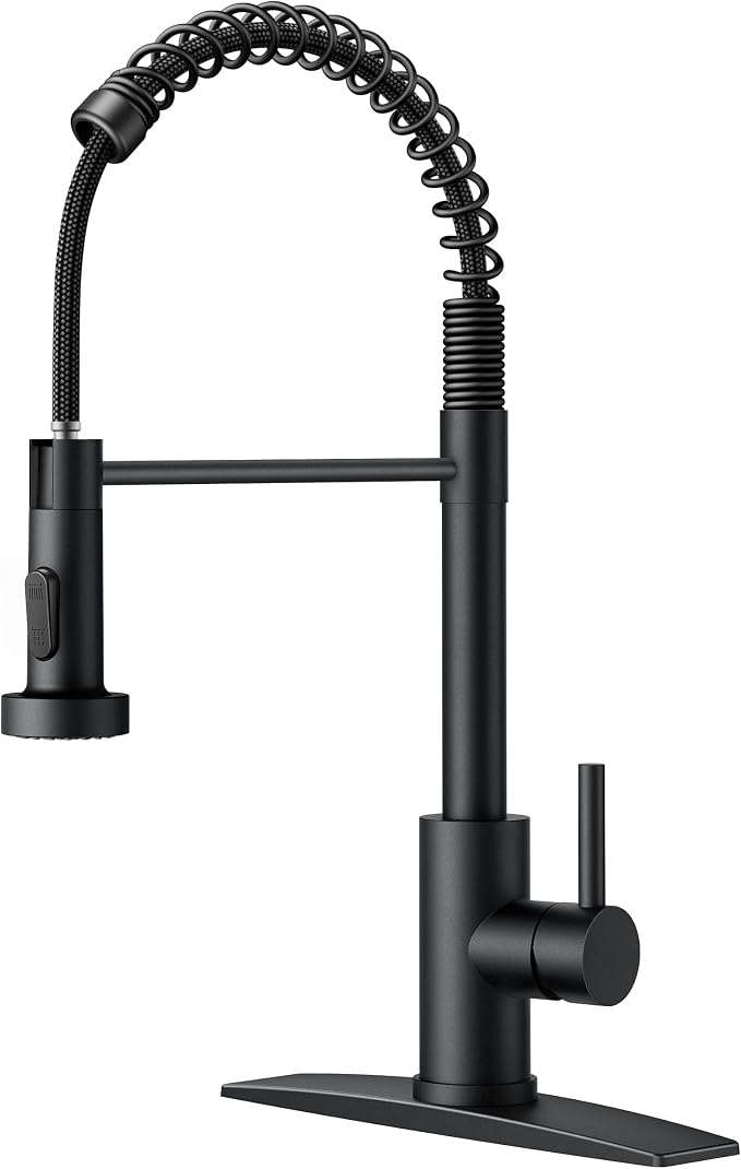 LILILIAN FMY Kitchen Faucet with Pull Down Sprayer (Matte Black)